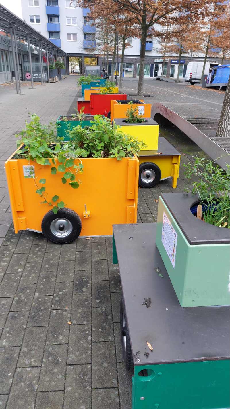 Hochbeete in Wilhelmsburg