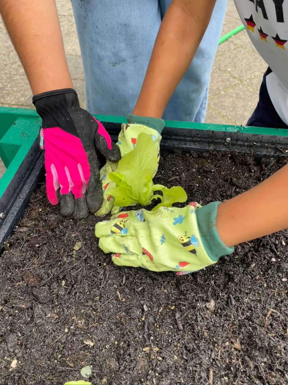 Kinder helfen fleißig mit