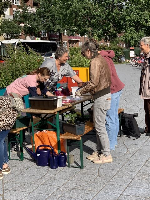 Neue Balkonkästen werden bepflanze