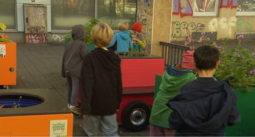 Kinder-Workshops Kinder lernen direkt an den Hochbeeten