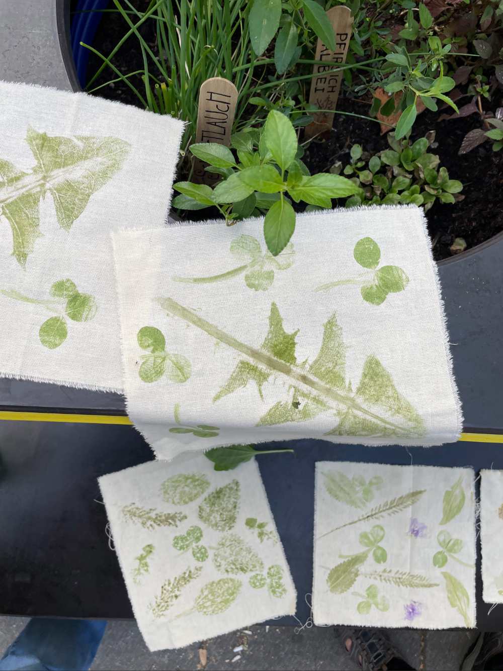 Textildruck mit Pflanzen