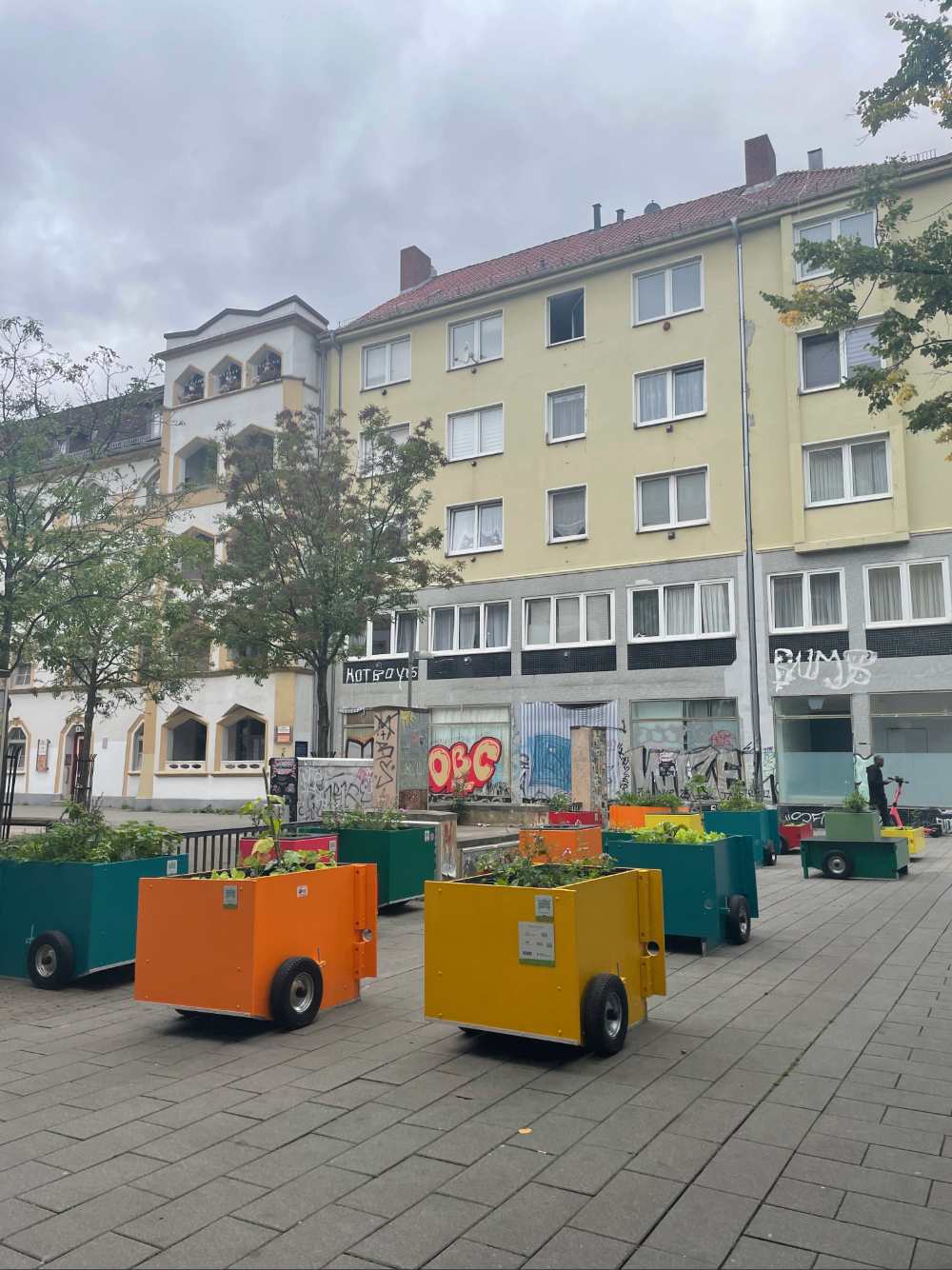 Die 15 Hochbeete sind umgezogen