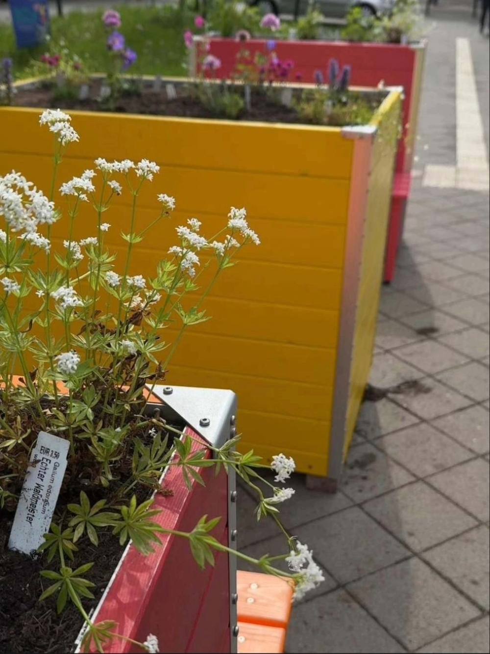 Die neuen Hochbeete auf der Veddel.