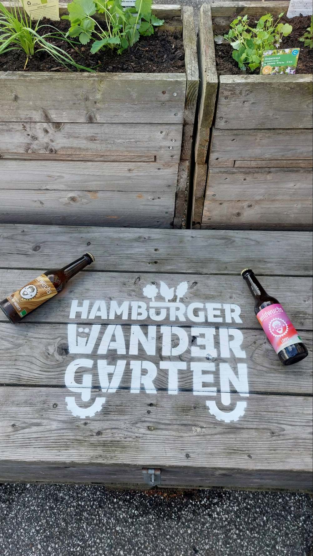 Bunte Wanderbeete werden bepflanzt – Station Veddel, Foto: Hamburger Wandergarten
