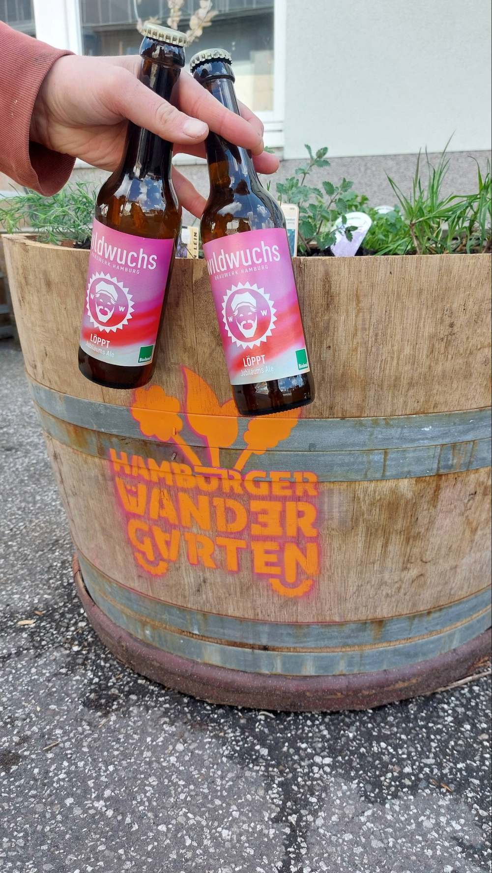 Die neuen Hochbeete auf der Veddel.