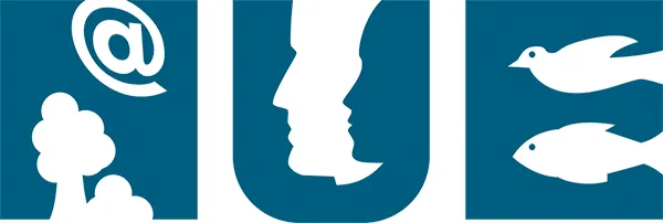 nue Logo Logo der NUE